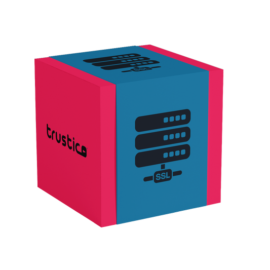 A blue and pink cube featuring the word trustica on one side and an icon of a server stack labeled SSL on another side, set against a plain light background.